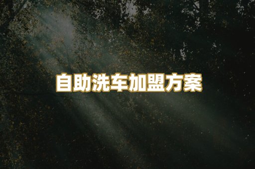 自助洗车加盟方案