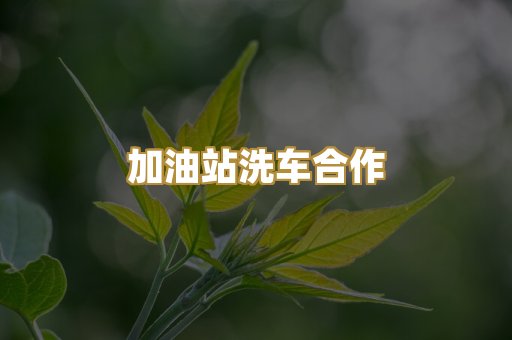 加油站洗车合作
