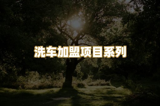 洗车加盟项目系列