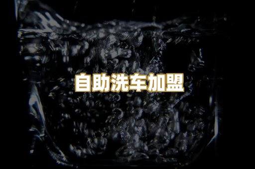 自助洗车加盟